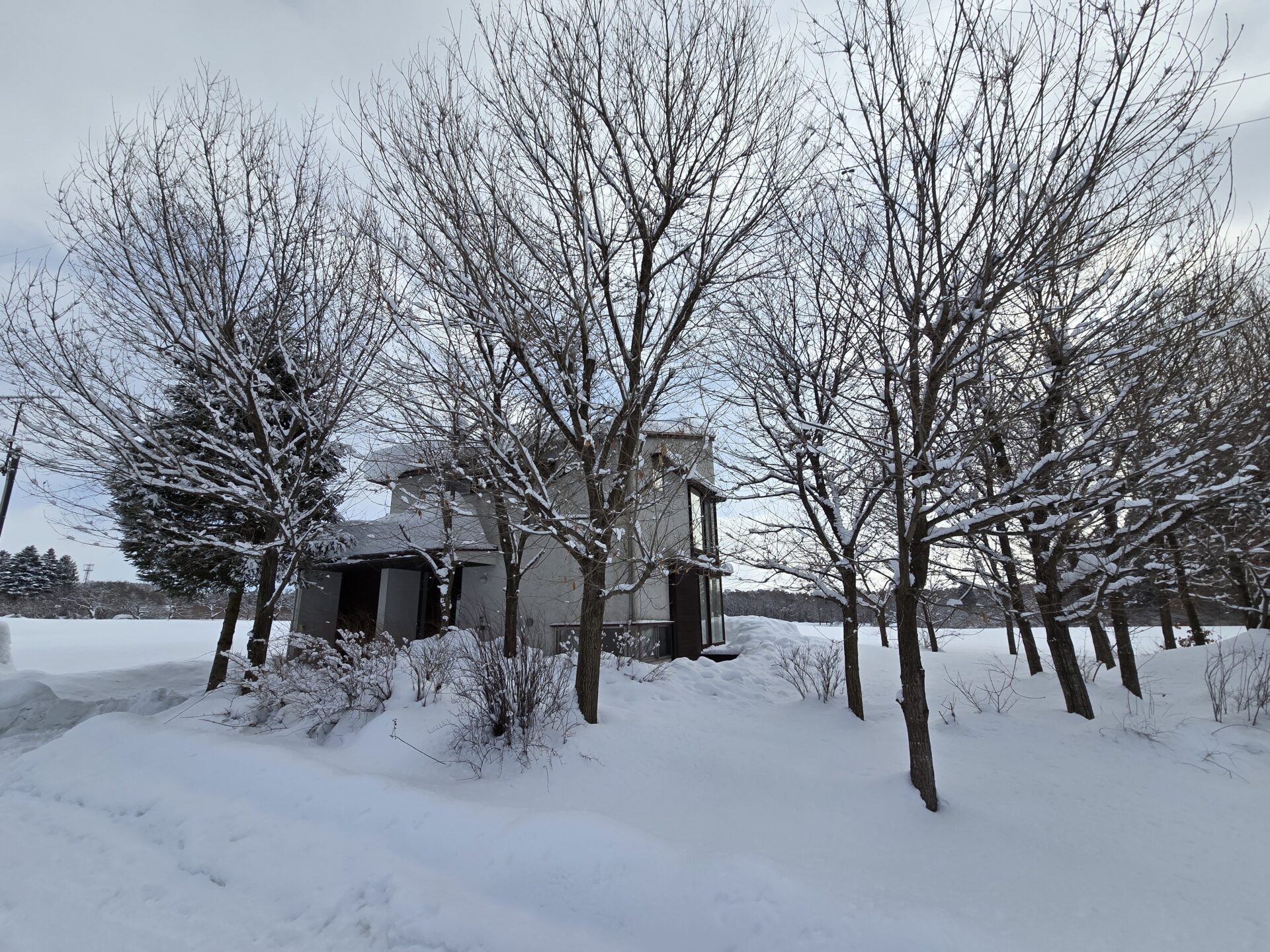雪かきをしました！